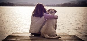 ライト動物病院