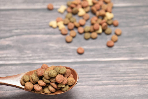 スプーンに乗っているドッグフード